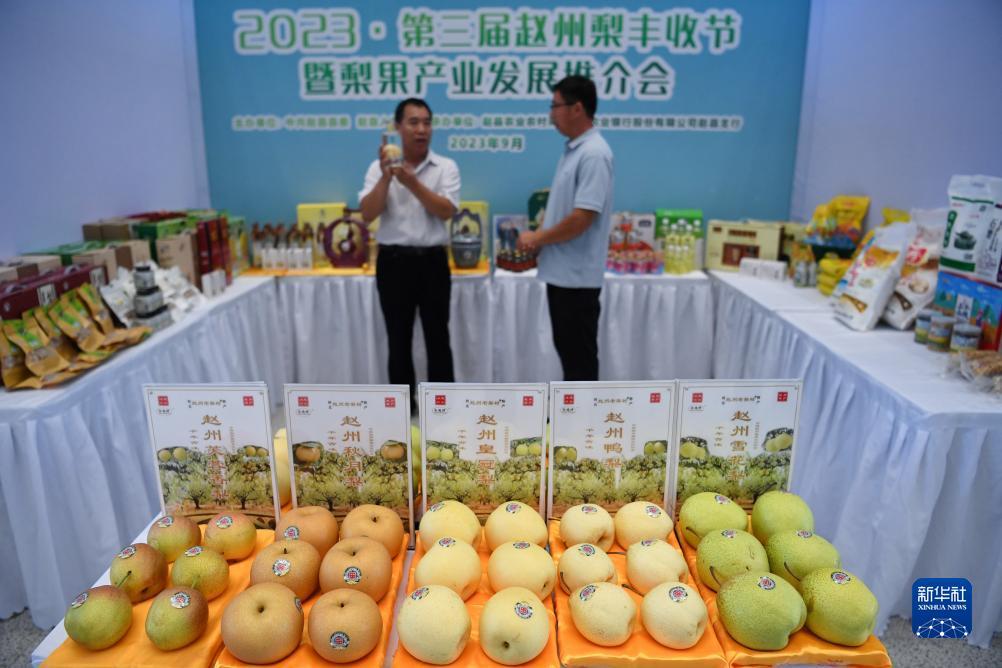 足球欧洲杯开户